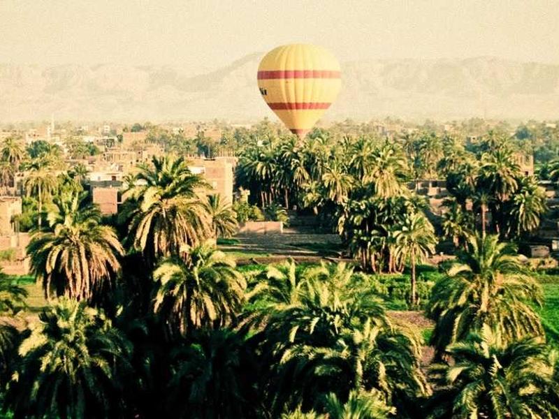 sudoku iq test screenshot 6