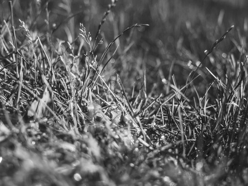 sudoku iq test screenshot 2